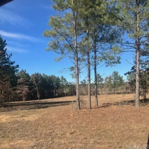 00 Young Pines Dr, Rison, AR 71655 photo 10