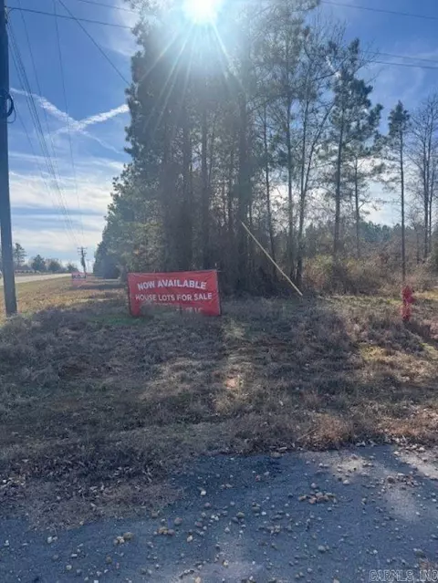 00 Young Pines Dr, Rison, AR 71655 photo 5
