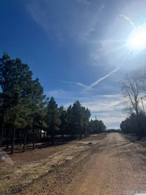 00 Young Pines Dr, Rison, AR 71655 photo 12