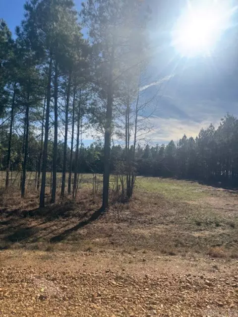 00 Young Pines Dr, Rison, AR 71655 photo 9