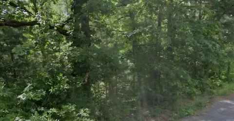 lot009 N Norman St, Pine Bluff, AR 71602 photo 2