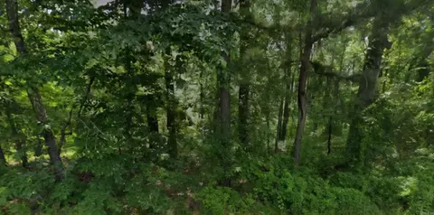 lot009 N Norman St, Pine Bluff, AR 71602