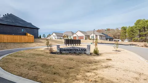 Other - 123 Harmony Village Dr, Haskell, AR 72015 photo 8 of 8
