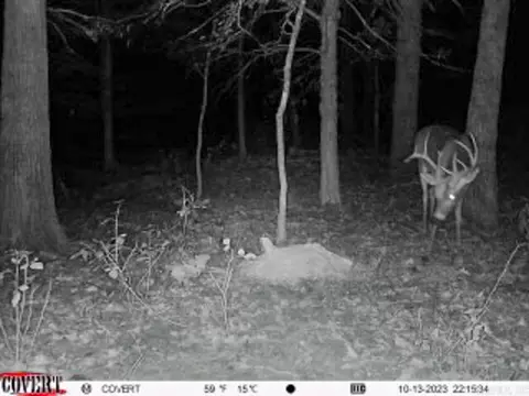 3968 Highway 167 Hwy, Ash Flat, AR 72513 photo 40