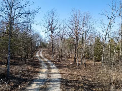 3968 Highway 167 Hwy, Ash Flat, AR 72513 photo 3