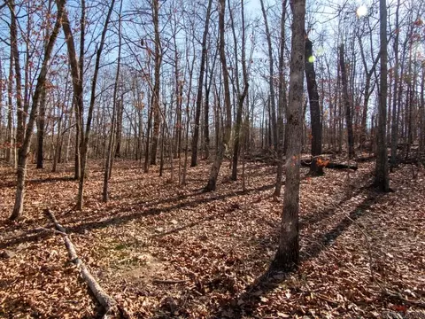 3968 Highway 167 Hwy, Ash Flat, AR 72513 photo 33