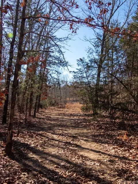 3968 Highway 167 Hwy, Ash Flat, AR 72513 photo 30