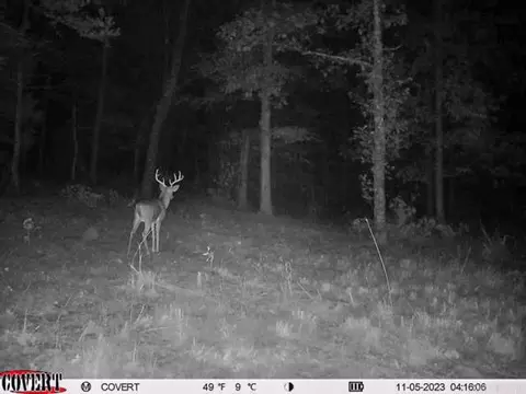3968 Highway 167 Hwy, Ash Flat, AR 72513 photo 46