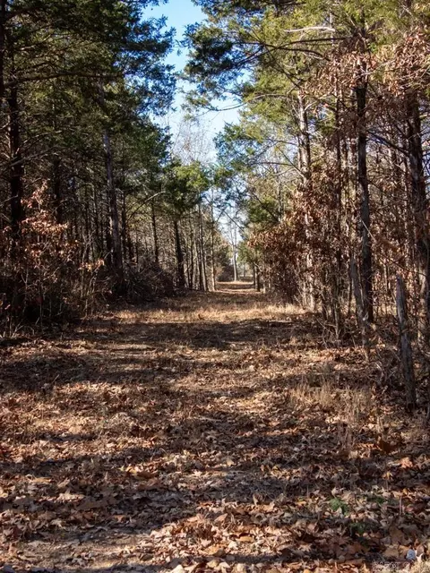 3968 Highway 167 Hwy, Ash Flat, AR 72513 photo 29