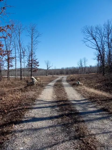 3968 Highway 167 Hwy, Ash Flat, AR 72513 photo 35