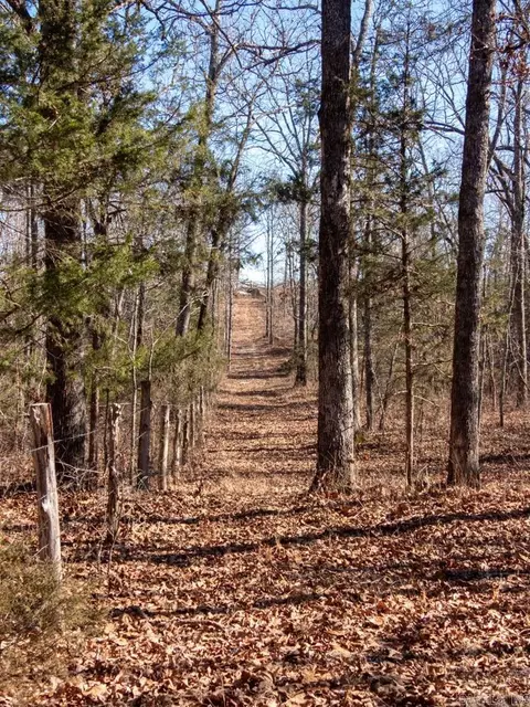 3968 Highway 167 Hwy, Ash Flat, AR 72513 photo 28