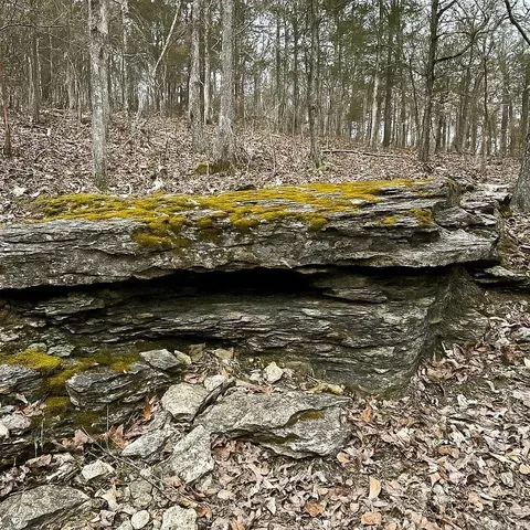 3968 Highway 167 Hwy, Ash Flat, AR 72513