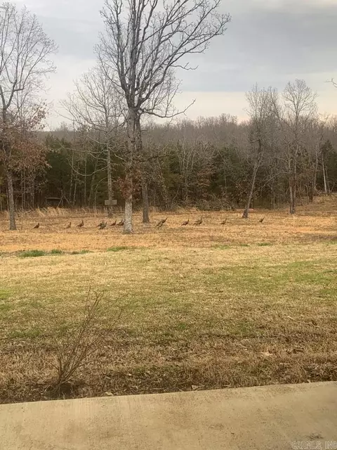 3968 Highway 167 Hwy, Ash Flat, AR 72513 photo 43