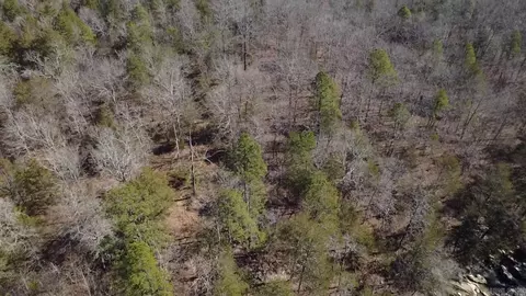 tbd Polk Road 147, Mena, AR 71953 photo 50
