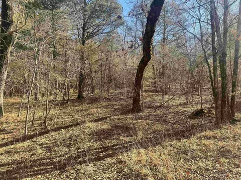 tbd Polk Road 147, Mena, AR 71953 photo 13