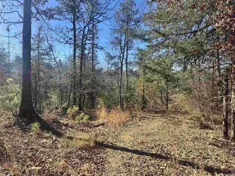 tbd Polk Road 147, Mena, AR 71953 photo 9