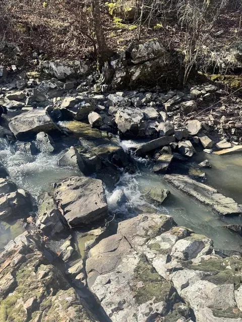 tbd Polk Road 147, Mena, AR 71953 photo 3
