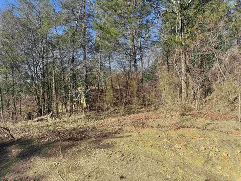 tbd Polk Road 147, Mena, AR 71953 photo 25