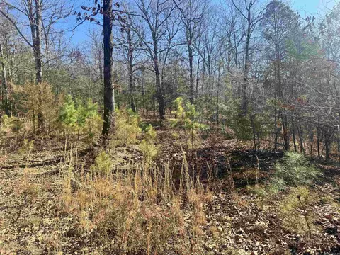 tbd Polk Road 147, Mena, AR 71953 photo 6