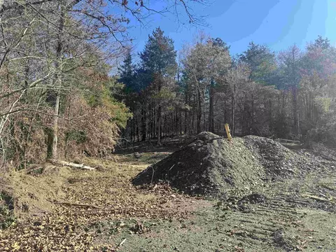 tbd Polk Road 147, Mena, AR 71953 photo 29