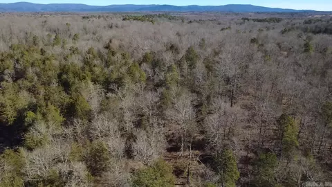 tbd Polk Road 147, Mena, AR 71953 photo 49