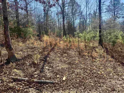 tbd Polk Road 147, Mena, AR 71953 photo 10