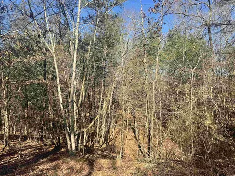 tbd Polk Road 147, Mena, AR 71953 photo 5