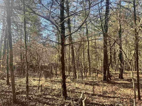 tbd Polk Road 147, Mena, AR 71953 photo 12