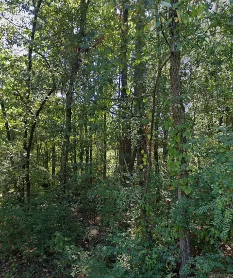 lot004 W Webb Ave, Pine Bluff, AR 71602