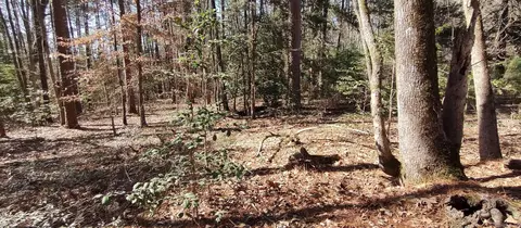 5099 Hwy 278, Chidester, AR 71726