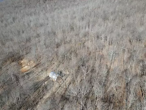 Other - Marsena Rd - East, Marshall, AR 72650 photo 9 of 20