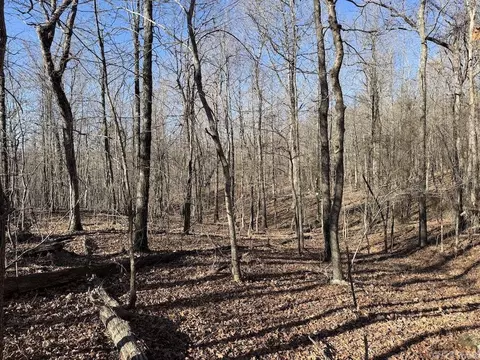 Other - Marsena Rd - East, Marshall, AR 72650 photo 4 of 20