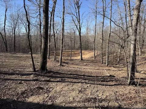 Exterior - Marsena Rd - East, Marshall, AR 72650 photo 2 of 9