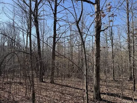 Other - Marsena Rd - East, Marshall, AR 72650 photo 13 of 20