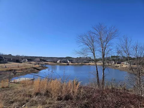View/Area - 19 Alfred Cv, Conway, AR 72034 photo 5 of 5