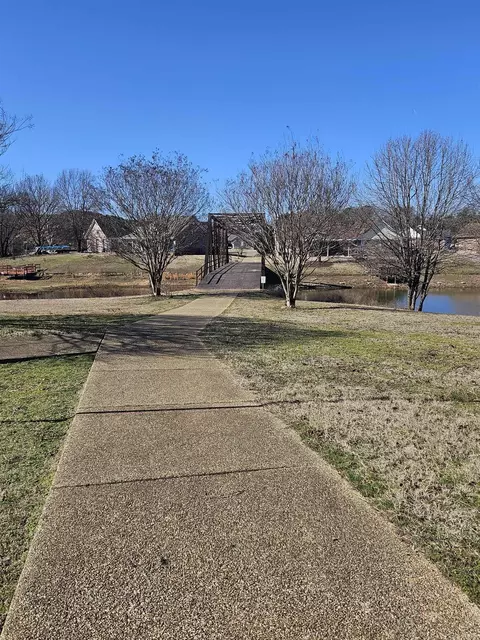 Other - 19 Alfred Cv, Conway, AR 72034 photo 4 of 6