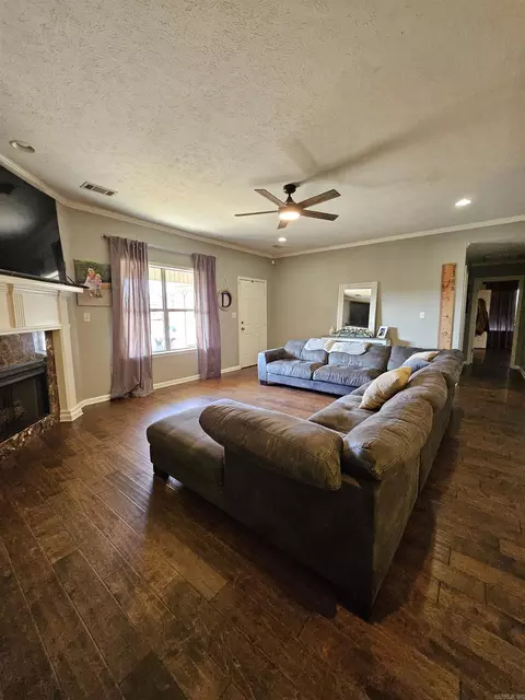 Living - 19 Alfred Cv, Conway, AR 72034 photo 3 of 3