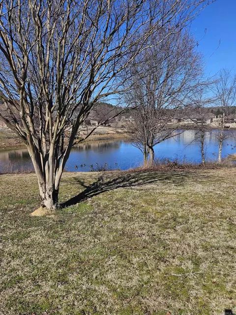 Other - 19 Alfred Cv, Conway, AR 72034 photo 5 of 6