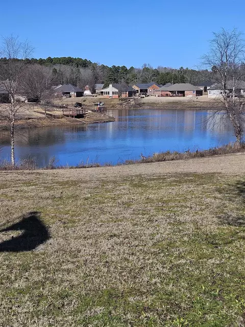 View/Area - 19 Alfred Cv, Conway, AR 72034 photo 1 of 5