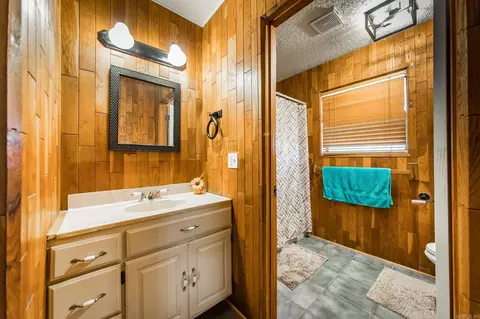 Bath - 197 Jones Loop, El Paso, AR 72045 photo 4 of 5