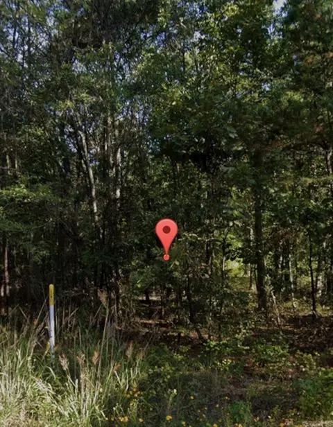 lot020 930-37727-000, Pine Bluff, AR 71602 photo 2