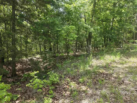 4 Topez Drive # l, Cherokee Village, AR 72529
