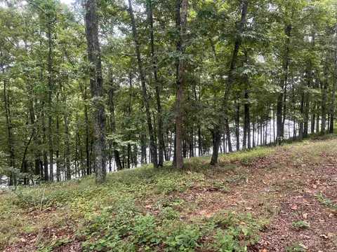lot16 Quail Hollow Cv, Heber Springs, AR 72543