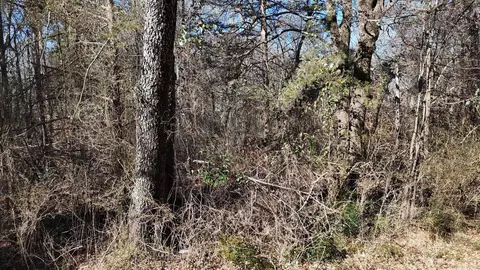 tbd Armour St, Mena, AR 71953 photo 2