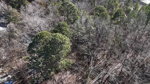 tbd Armour St, Mena, AR 71953 photo 5