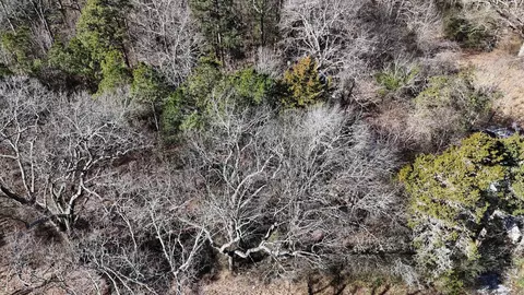 tbd Armour St, Mena, AR 71953 photo 3