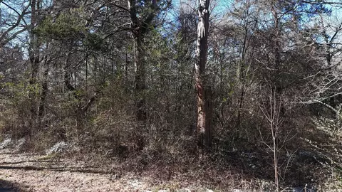 tbd Armour St, Mena, AR 71953