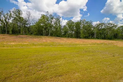 Other - 1176 Duke Dr, Bauxite, AR 72011 photo 1 of 6