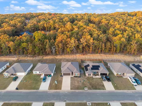 23 Barn Cat Way, Conway, AR 72032 photo 35
