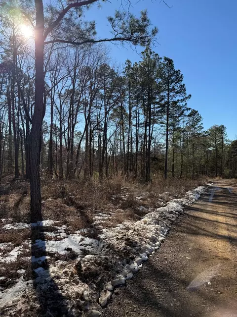 000 Pebble Dr, Clinton, AR 72031 photo 2